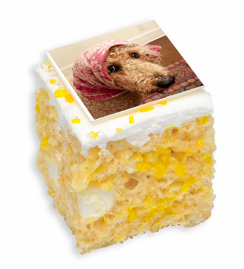 CUSTOM DELUXE DOG LOVER'S GIFT BOX