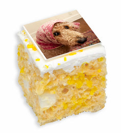 CUSTOM DOG LOVER'S 12-PACK