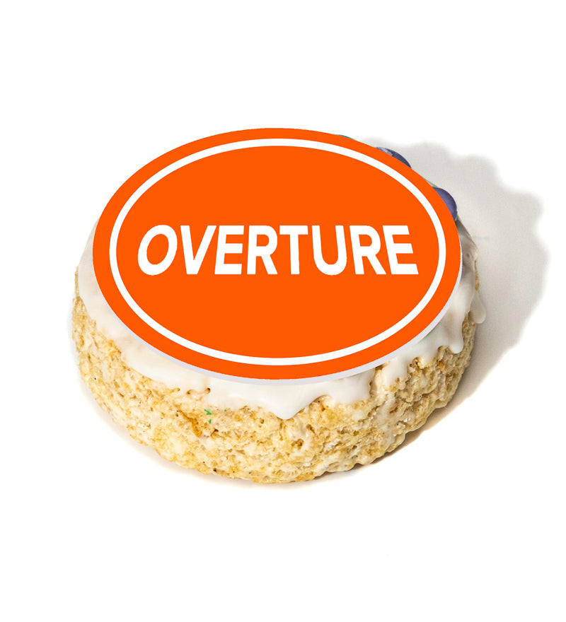 OVERTURE DONUT